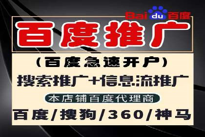 竞价排名案例分析：电商行业